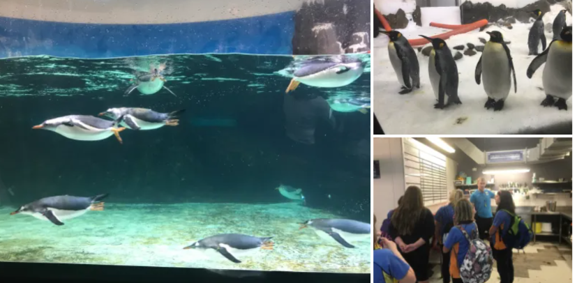 Melbourne Aquarium Behind the Scenes